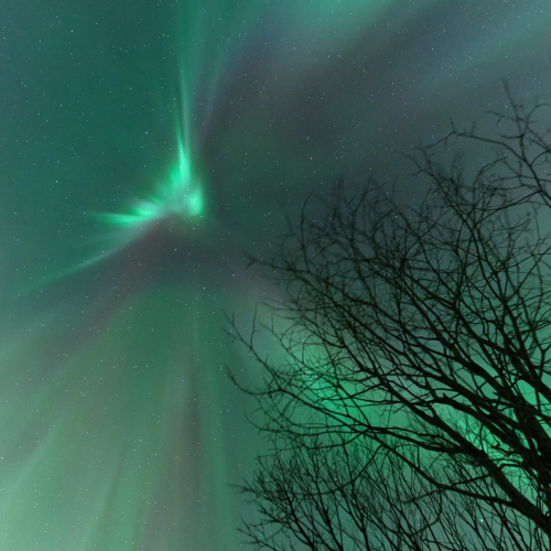 Aurora captured directly overhead