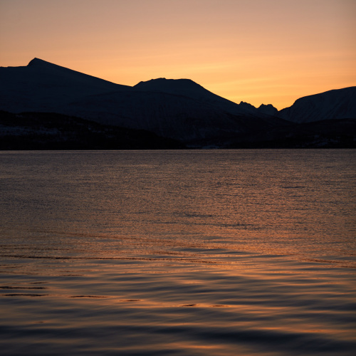 Fjords at twilight