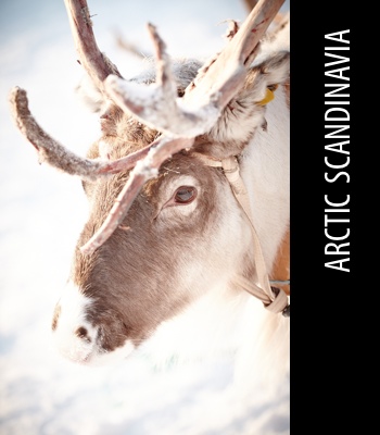 Lapland to Lofoten Photography Tour