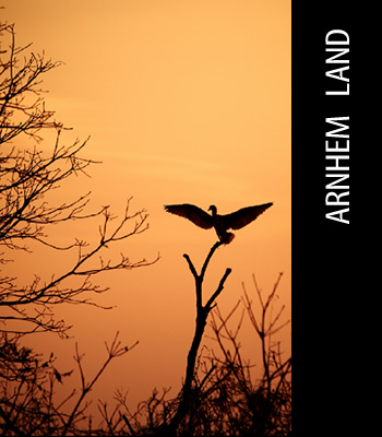 Arnhem Land Photography Workshop