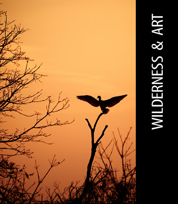 Arnhem Land Photography Workshop