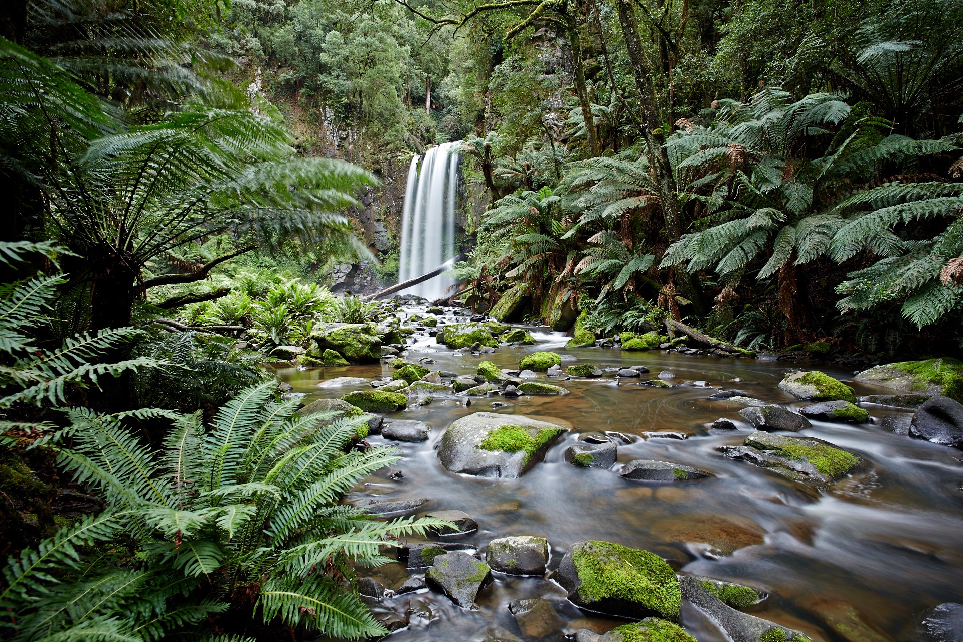 Great Ocean Road Photography