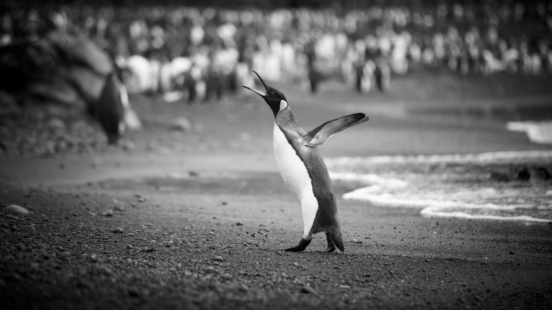 Island soul a photographic essay 08 image