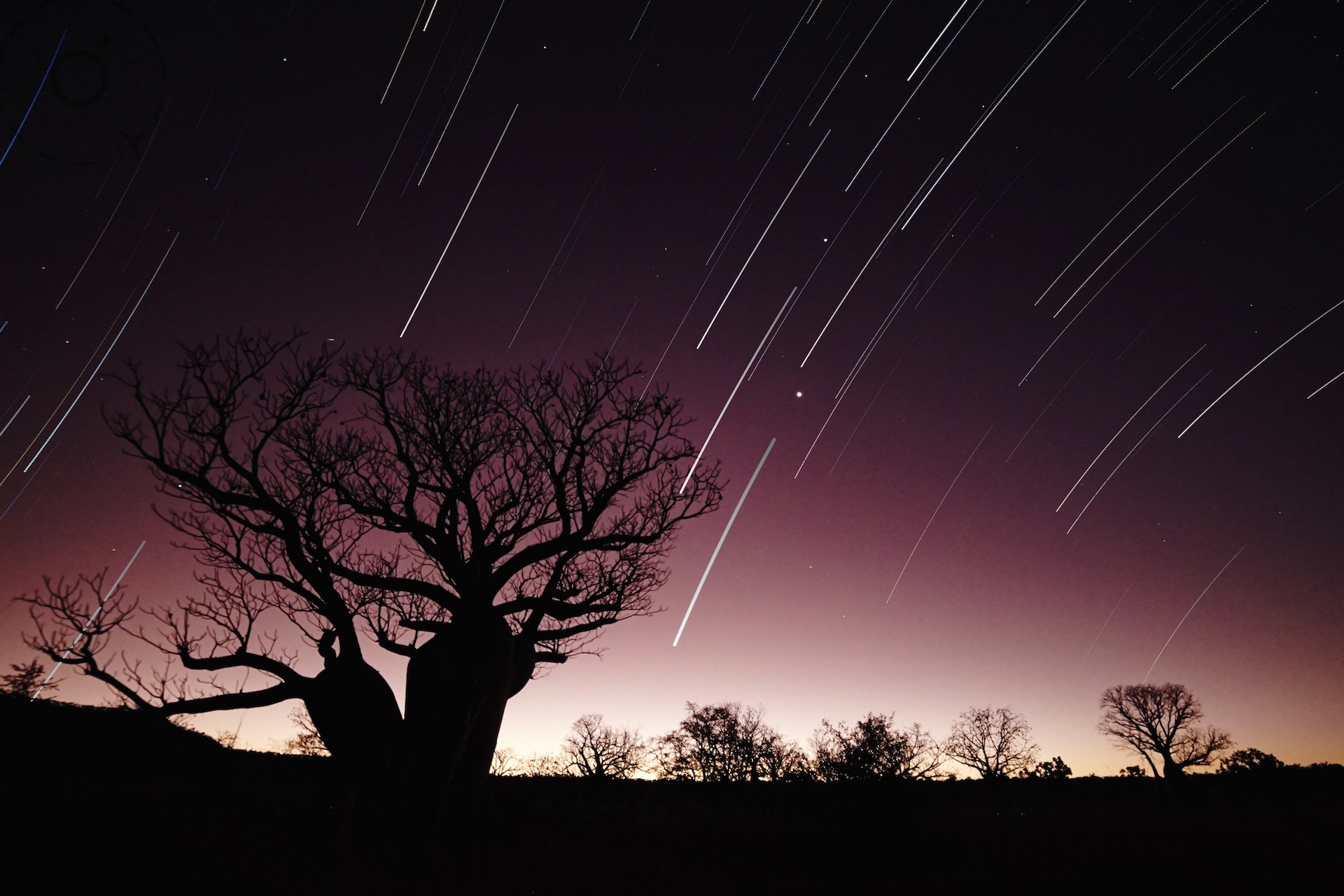 Star Trails at Sunset