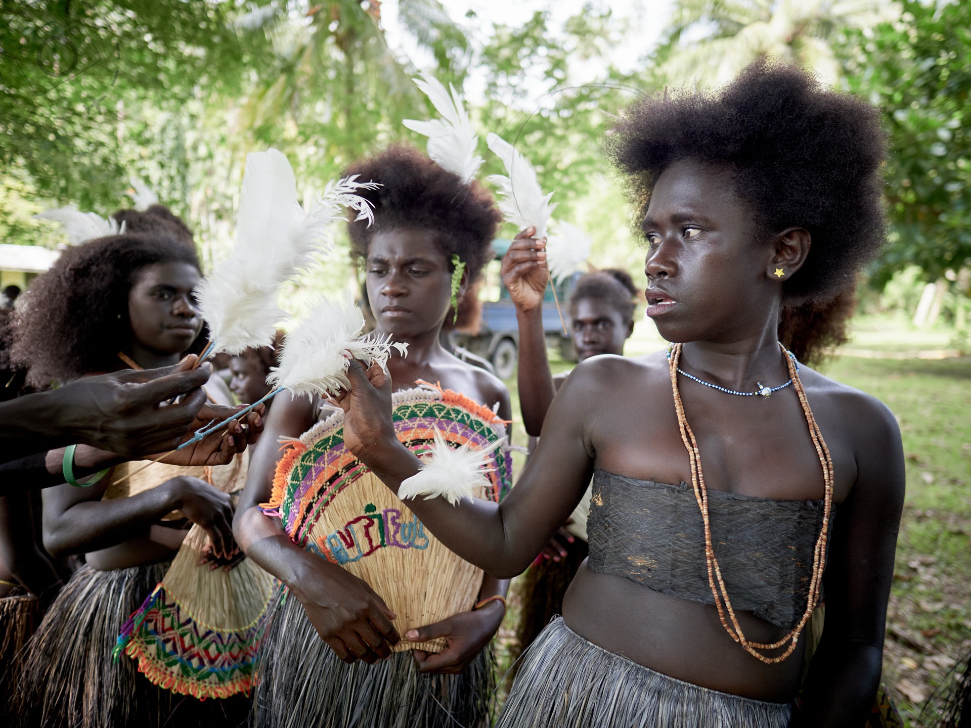 Bougainville / The Solomons