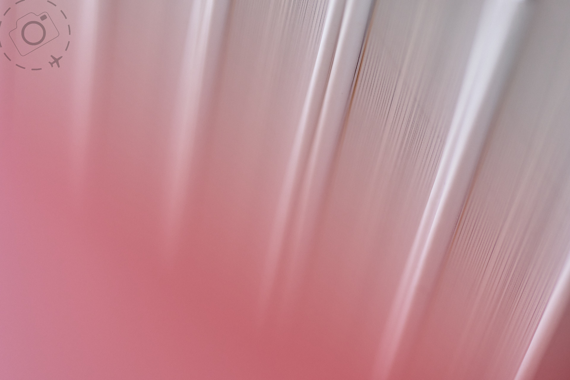 What Comes After Books