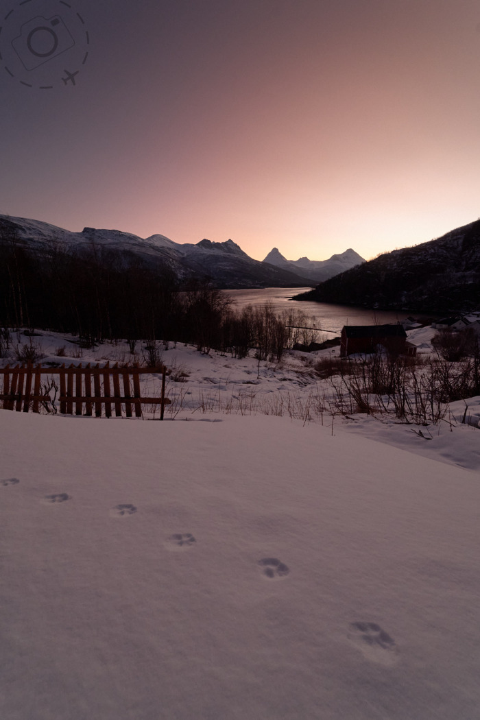 View to Grovfjord