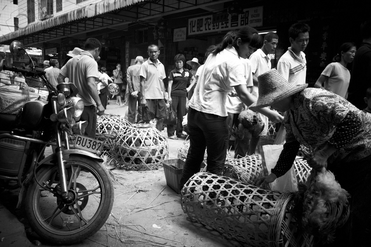 Middle kingdom of egypt literature image