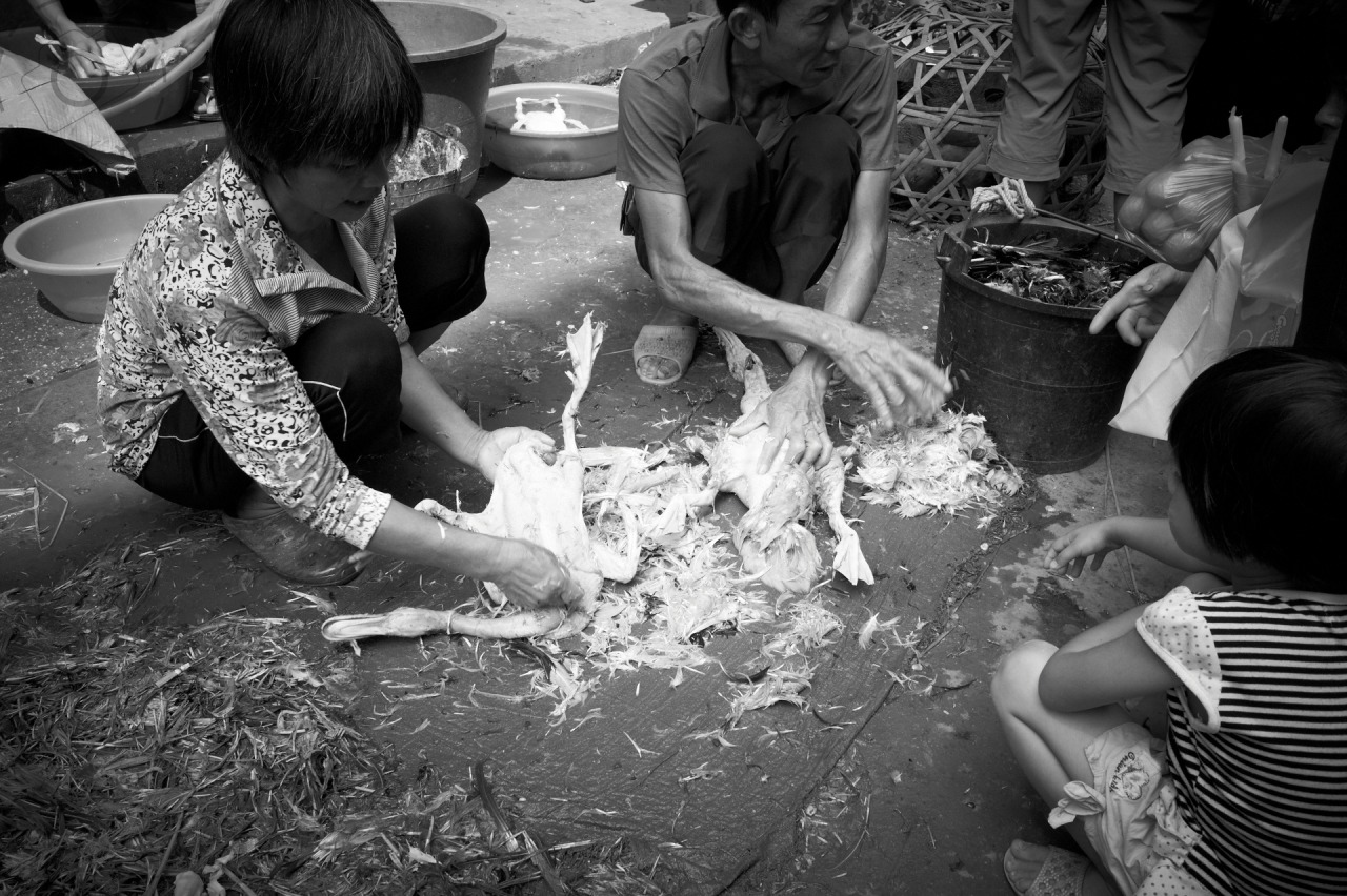 Middle kingdom essay image