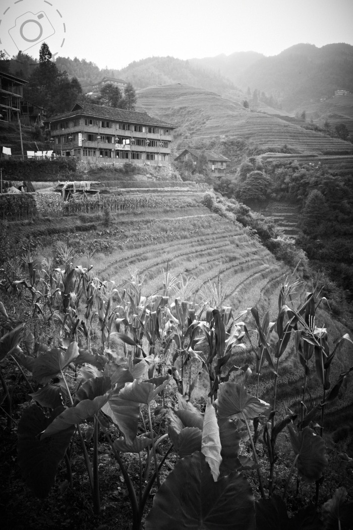 Ancient egypt middle kingdom religion picture