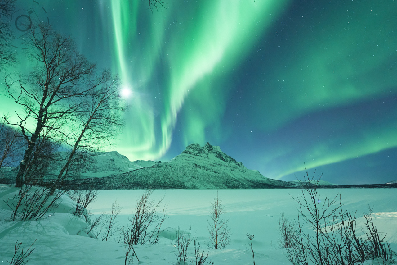 Aurora Residency Photographic Workshop - Booking Form