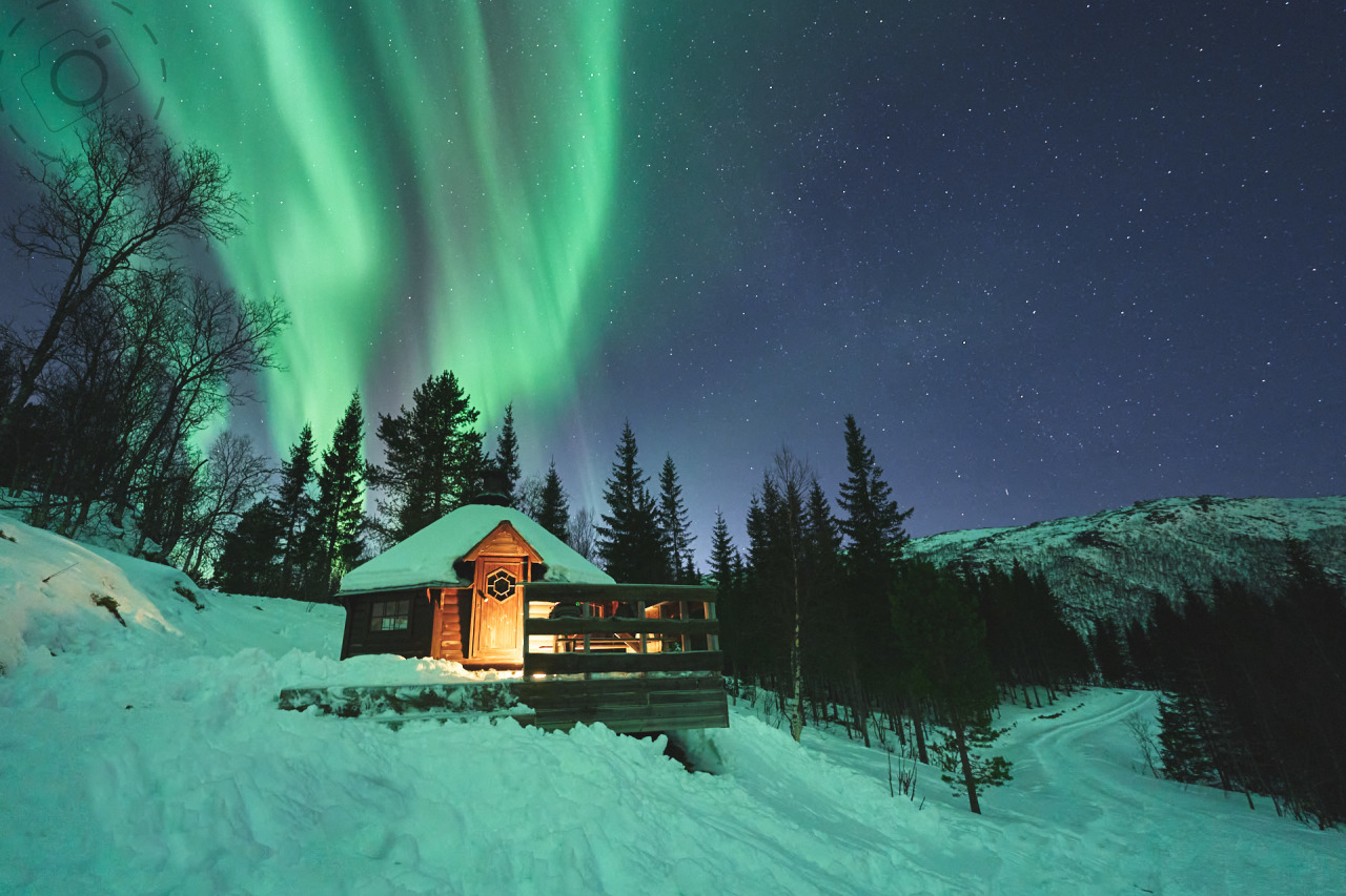 Private Aurora Tours - Booking Form