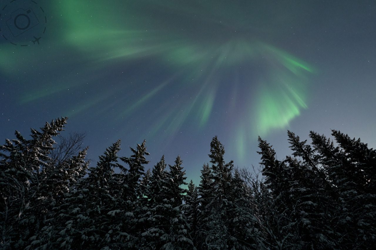 Aurora Residency - Booking Form