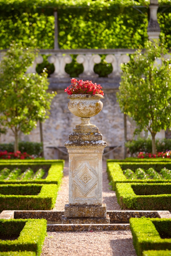 Essay about planting vegetables picture