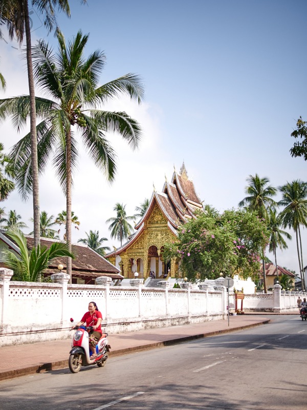 Laos population image