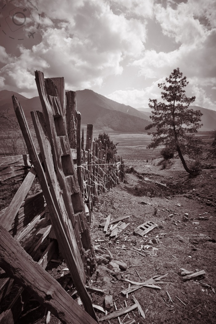 Winter season 5 line essay picture