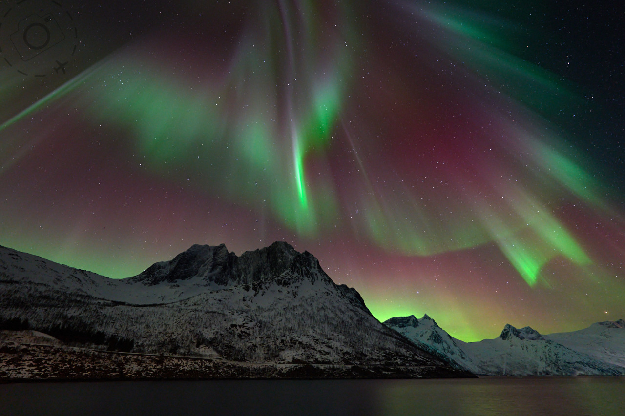 Polar Nights Aurora Workshop - Booking Form