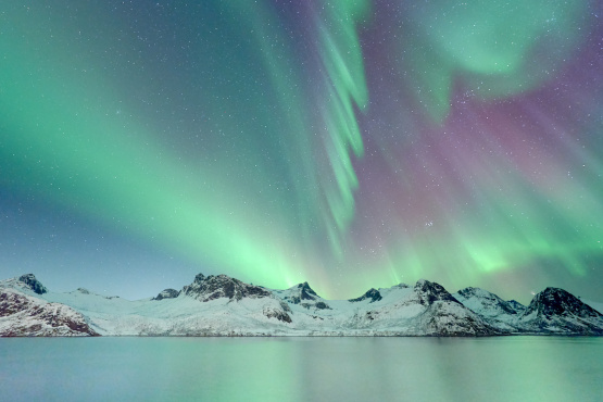 Why Auroras Look Different on The Camera