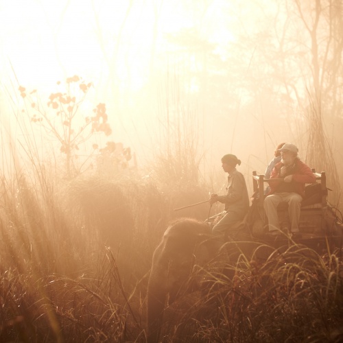 Chitwan | Photo Essay