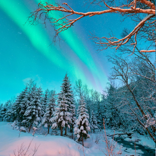 Photographer Ewen Bell