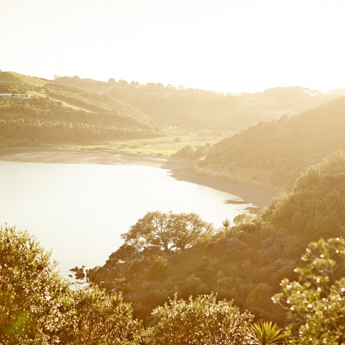 Waiheke | Photo Essay